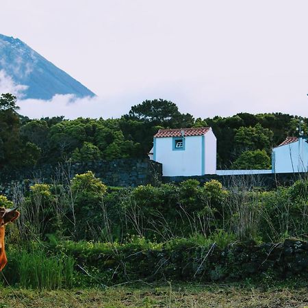 Casa Do Paim Villa São Roque do Pico Dış mekan fotoğraf