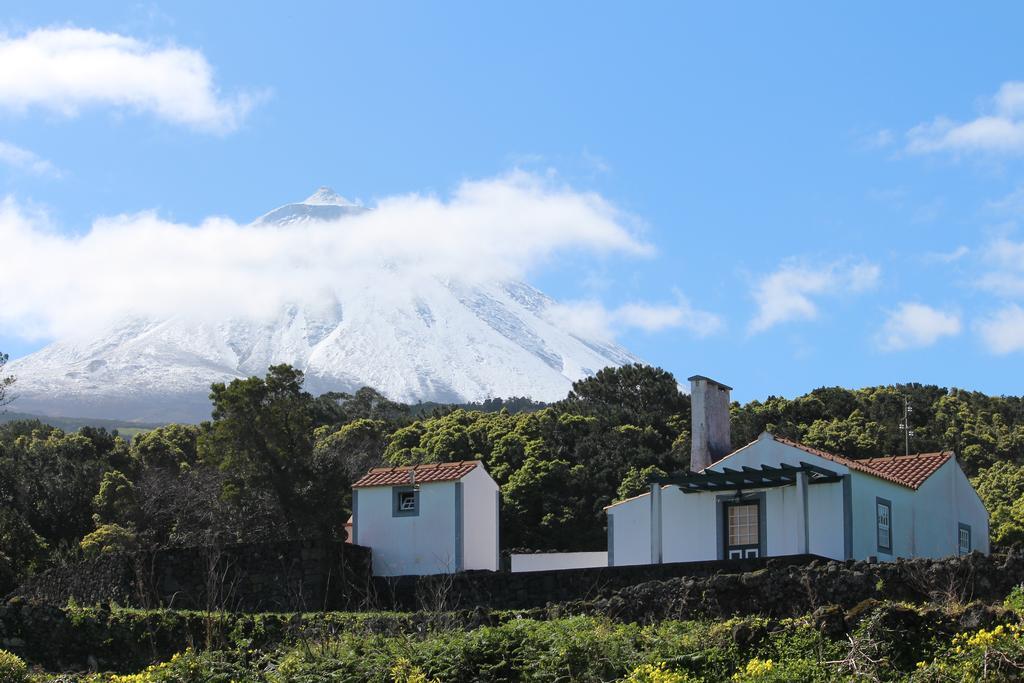 Casa Do Paim Villa São Roque do Pico Dış mekan fotoğraf