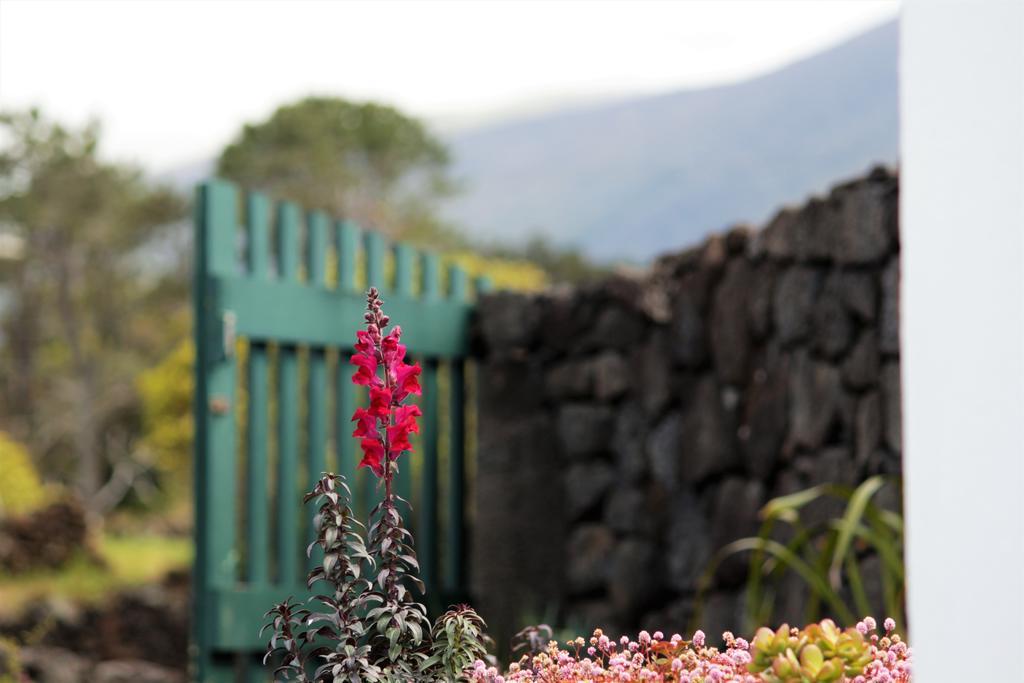 Casa Do Paim Villa São Roque do Pico Dış mekan fotoğraf