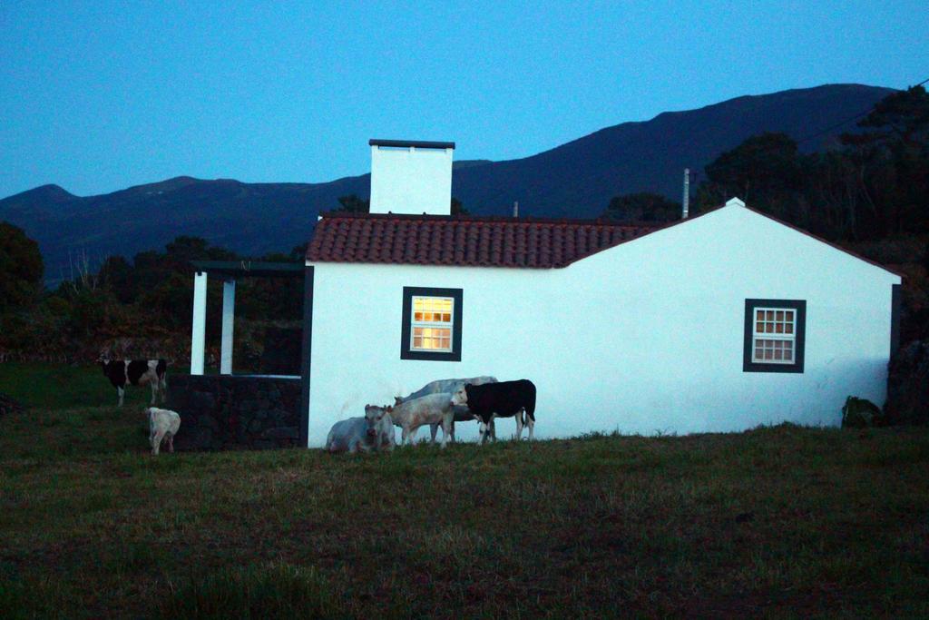 Casa Do Paim Villa São Roque do Pico Dış mekan fotoğraf