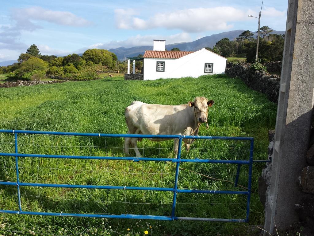 Casa Do Paim Villa São Roque do Pico Dış mekan fotoğraf