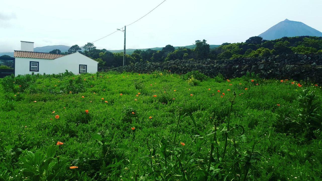 Casa Do Paim Villa São Roque do Pico Dış mekan fotoğraf